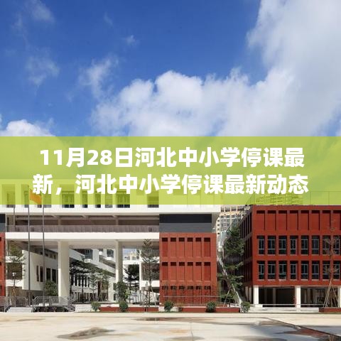 河北中小學(xué)停課最新動(dòng)態(tài),11月28日的深刻印記