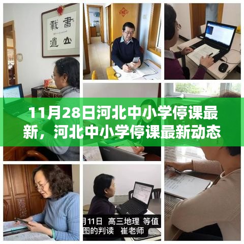 河北中小學(xué)停課最新動態(tài),11月28日的深刻印記