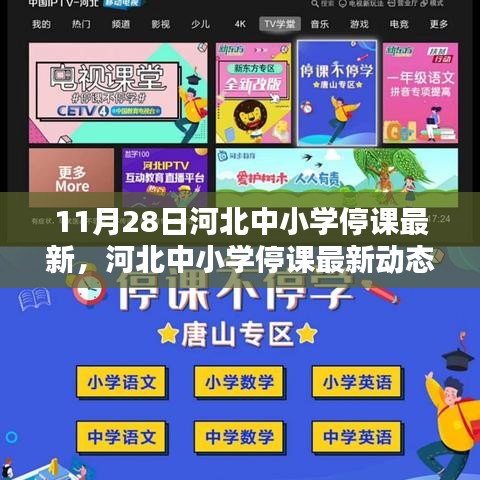 河北中小學(xué)停課最新動態(tài),11月28日的深刻印記
