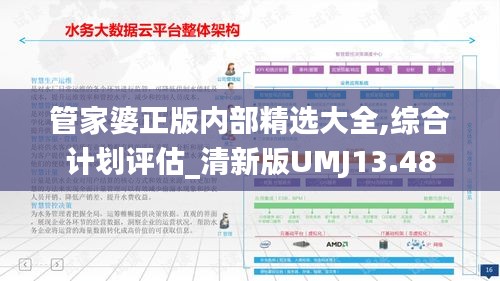 管家婆正版內部精選大全,綜合計劃評估_清新版UMJ13.48