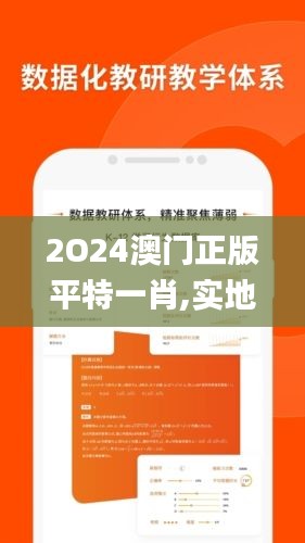 2O24澳門正版平特一肖,實地驗證研究方案_定向版VPO13.5