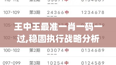 王中王最準一肖一碼一過,穩固執行戰略分析_并行版XBT13.40