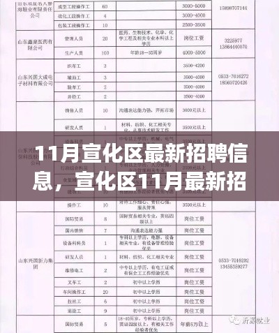 宣化區11月最新招聘信息全攻略,初學者到進階用戶的獲取指南