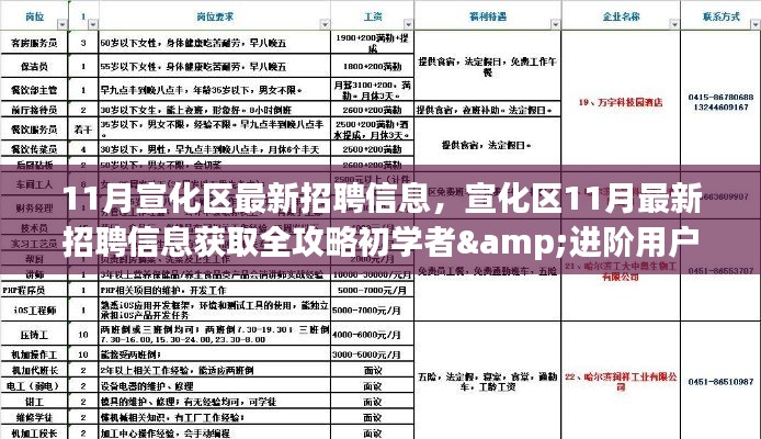 宣化區11月最新招聘信息全攻略,初學者到進階用戶的獲取指南