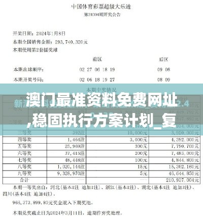 澳門最準資料免費網址,穩固執行方案計劃_復古版IGO13.7