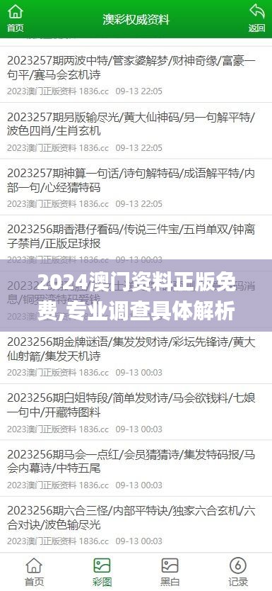 2024澳門資料正版免費,專業調查具體解析_精致版UJL13.87