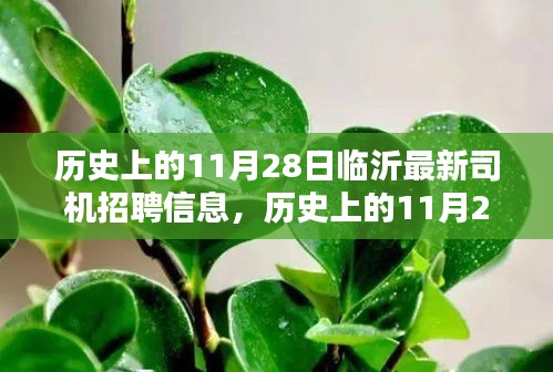 歷史上的11月28日臨沂最新司機招聘信息及其深度解析