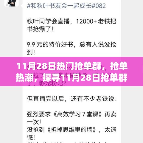 探尋搶單熱潮背后的故事,揭秘11月28日搶單群影響力與故事
