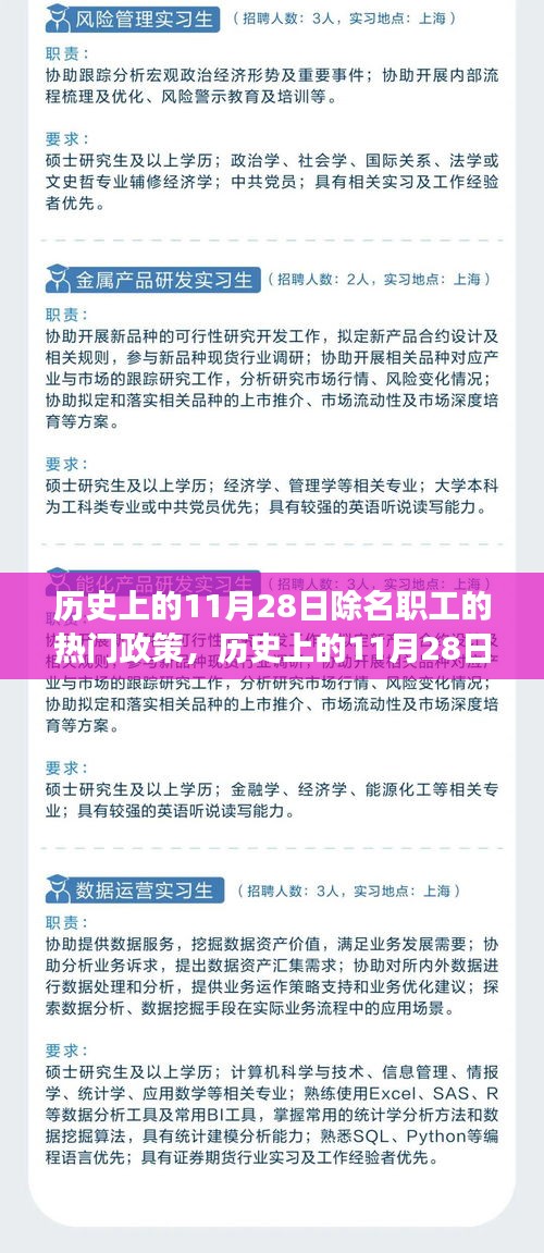 歷史上的11月28日除名職工政策下的智能生活革新之旅,智能助手體驗探索
