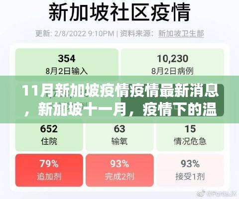 新加坡十一月疫情下的溫馨日常與友情力量,最新疫情消息