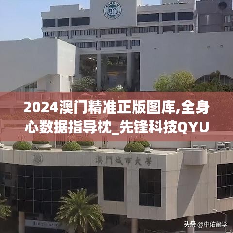 2024澳門精準正版圖庫,全身心數據指導枕_先鋒科技QYU12.600
