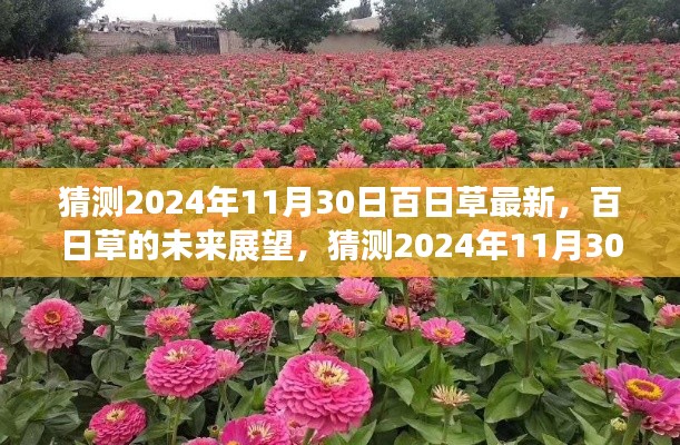百日草的未來展望,揭秘2024年百日草最新動態(tài)與未來趨勢分析