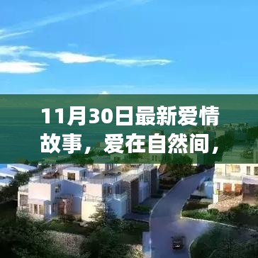 11月30日愛(ài)情故事,愛(ài)在自然間的內(nèi)心平靜之旅
