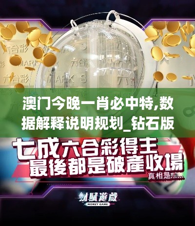 澳門今晚一肖必中特,數據解釋說明規劃_鉆石版SRY82.152