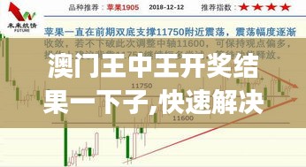 澳門王中王開獎結果一下子,快速解決方式指南_零障礙版YEJ23.348