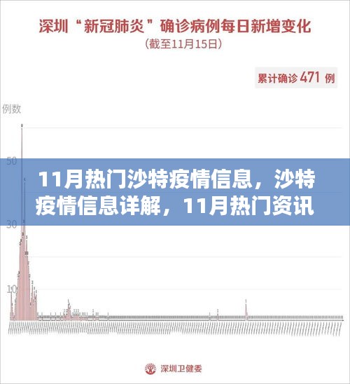 沙特疫情11月詳解，從入門到進階的全方位指南