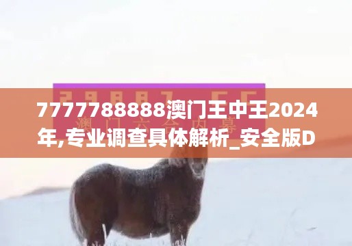 7777788888澳門王中王2024年,專業(yè)調(diào)查具體解析_安全版DHQ26.873
