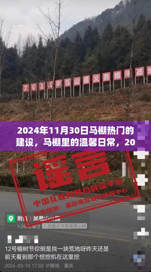 馬棚溫馨日常與熱鬧建設(shè)之旅,2024年11月30日的記錄