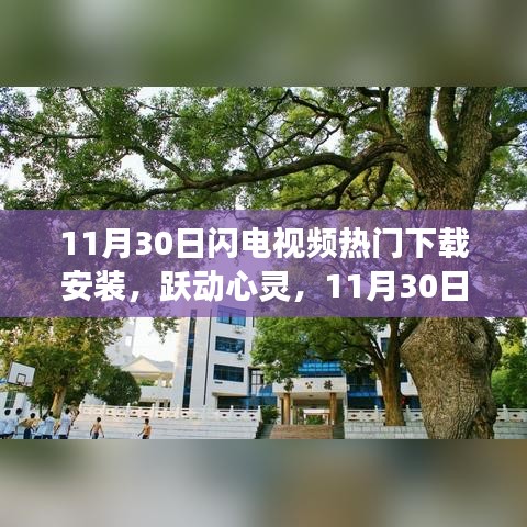 11月30日閃電視頻，領略學習變革的魔力之旅