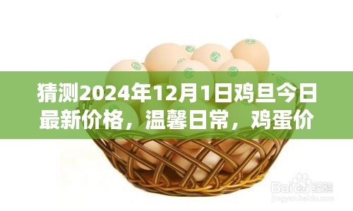 雞蛋價(jià)格之謎,探索2024年最新價(jià)格與友情的紐帶