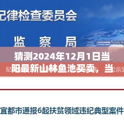 2024年當陽山林魚池買賣展望,市場深度解析與產品特性詳述