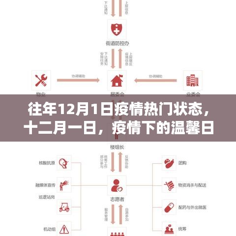 疫情下的溫馨日常與友情紐帶,十二月一日的抗疫記憶