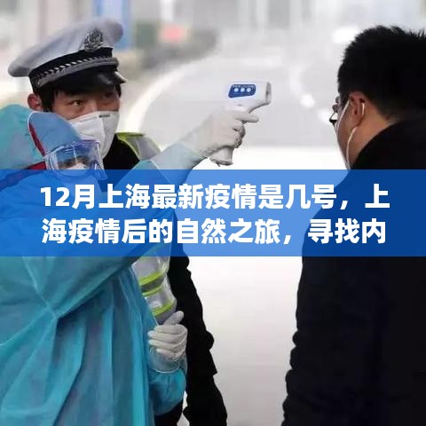 上海疫情后的自然之旅,尋找內心的寧靜與力量之旅(最新疫情動態)