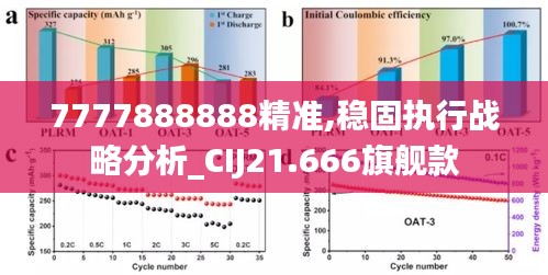 7777888888精準,穩固執行戰略分析_CIJ21.666旗艦款