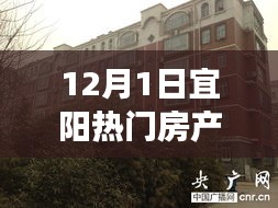 宜陽(yáng)熱門房產(chǎn)的溫馨故事與家園奇遇——12月1日的探索之旅