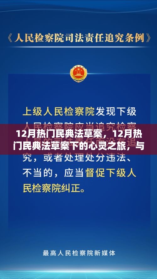 12月民典法草案下的心靈與自然之旅,探尋內心平靜與美景共舞