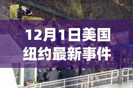 紐約最新事件，夢(mèng)想起航之地，學(xué)習(xí)變革照亮未來(lái)之路