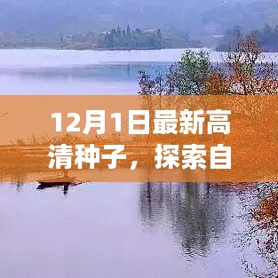 冬日的暖陽之旅，追尋內心平靜的種子，探索自然美景的啟程
