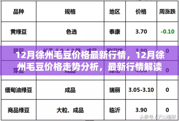 徐州毛豆行情解析,最新價格走勢與解讀