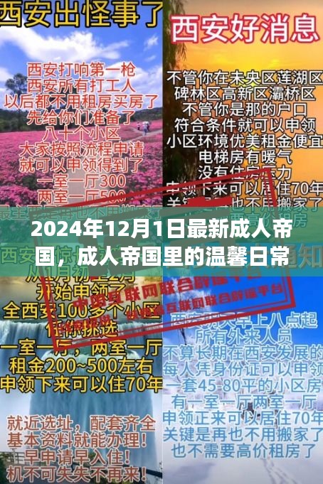 成人帝國里的溫馨日常，陽光故事2024年12月1日