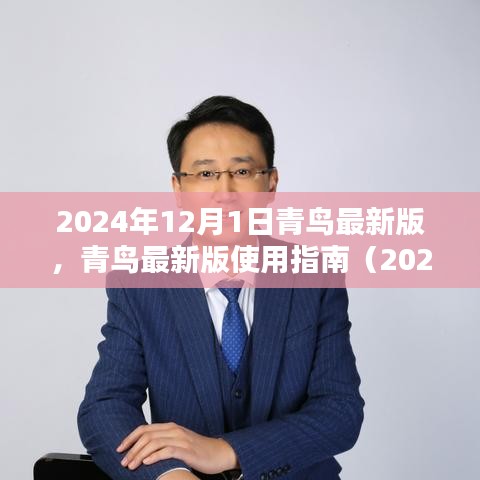 青鳥(niǎo)最新版使用指南（2024年12月版），初學(xué)者與進(jìn)階用戶指南共鑒