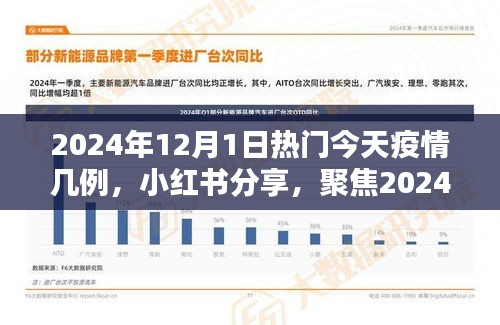 小紅書分享，聚焦2024年12月1日疫情最新動態及今日疫情數據報告