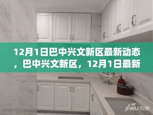 巴中興文新區，12月1日最新動態揭示未來發展潛力及展望