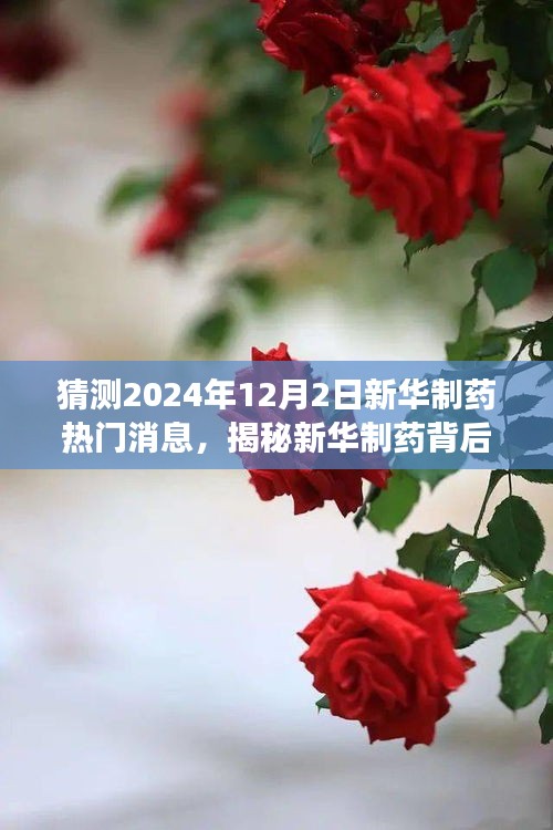 揭秘新華制藥背后的自然秘境,心靈之旅的預測與呼喚(新華制藥熱門消息前瞻)
