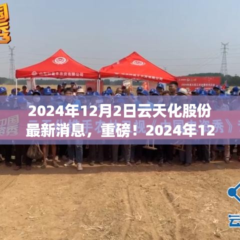 獨家揭秘,云天化股份最新動態(tài)與未來展望(2024年12月2日更新)