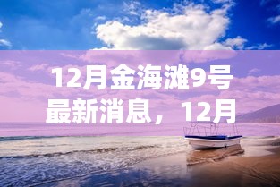 12月金海灘9號最新動態與指南,任務完成與技能學習全解析