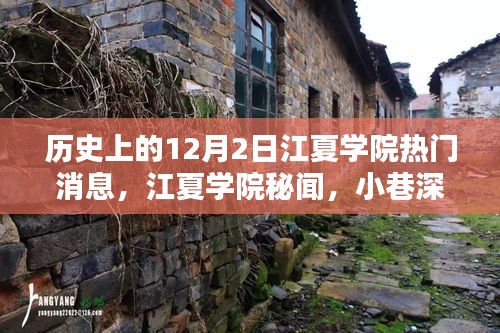 江夏學院十二月二日秘聞探尋,寶藏小店與獨特風采揭秘