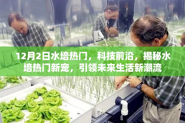 揭秘水培熱門新寵,引領未來生活潮流,科技前沿揭秘水培趨勢分析
