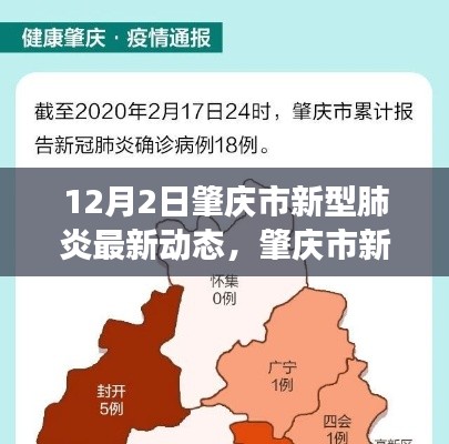 肇慶市新型肺炎最新動態，12月2日回顧與展望