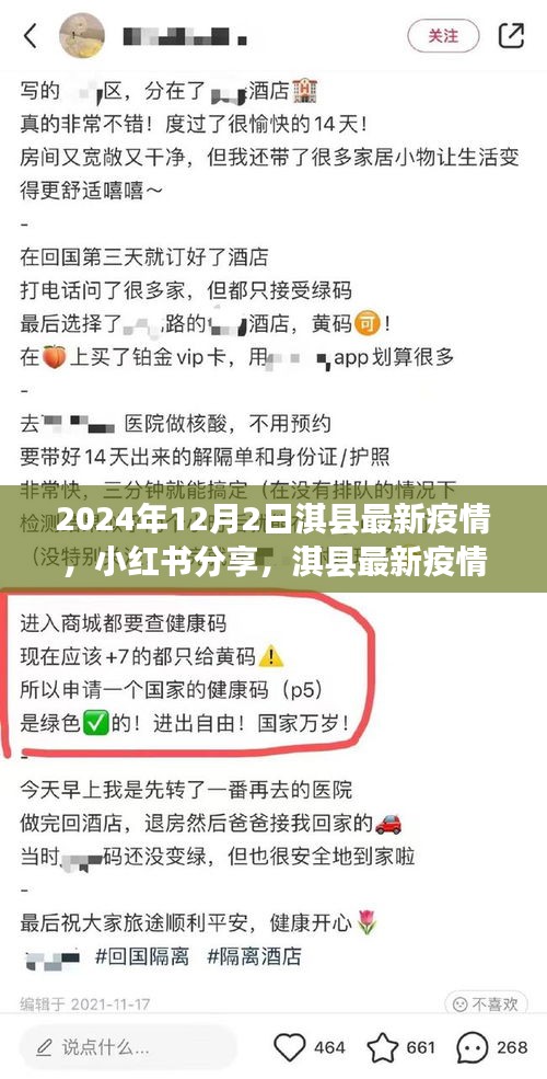 小紅書(shū)分享,淇縣最新疫情動(dòng)態(tài)深度解析(2024年12月2日)