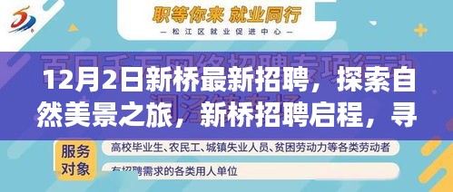 新橋招聘啟程,探索自然美景之旅,尋找內(nèi)心的寧靜與平和
