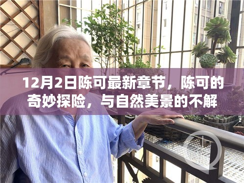陳可的奇妙探險，最新章節揭秘與自然美景的不解之緣