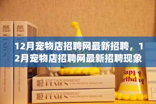 12月寵物店招聘網(wǎng)最新招聘現(xiàn)象解析，利弊探討與個人觀點