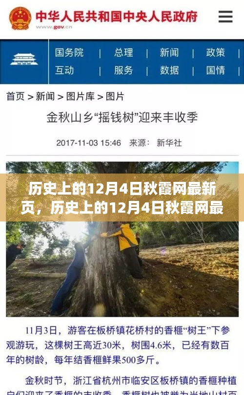 歷史上的12月4日秋霞網(wǎng)最新頁面,深度探討其影響與意義