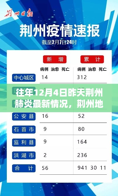 荊州地區往年12月4日昨日肺炎最新情況回顧與影響分析,回顧與啟示