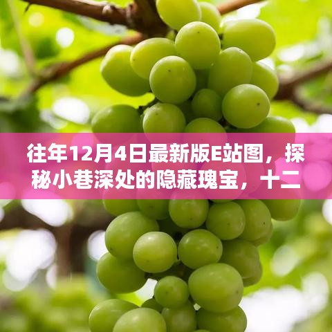 探秘十二月最新版E站圖,小巷深處的隱藏瑰寶與創意空間